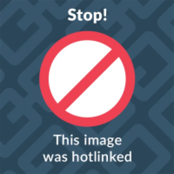 MC-Jakke – Dane Elling Sort/Gul